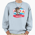 Usa American Baseball Chicago Sweatshirt - Fun Novelty Design Men Women - T-Shirt, Sweatshirt, Hoodie