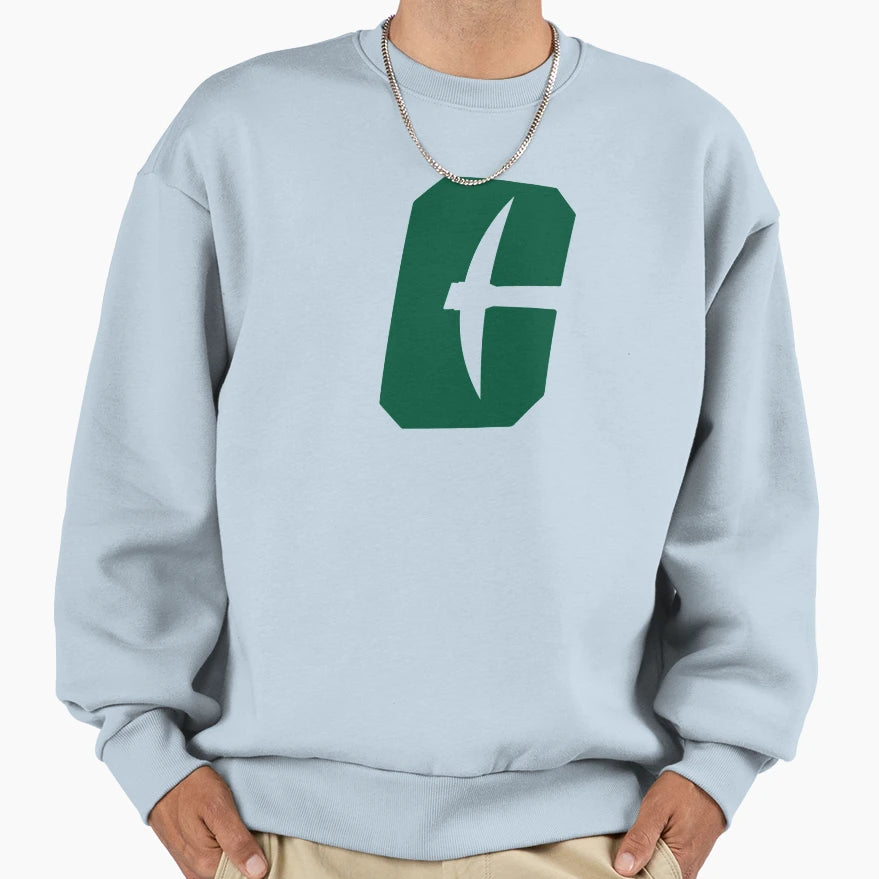 Charlotte Team Sweatshirt - Fun Novelty Design Unisex - T-Shirt, Sweatshirt, Hoodie