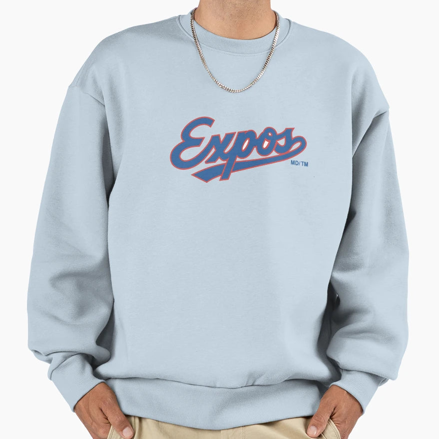Montreal Expos Sweatshirt - Custom Art Print Unisex - T-Shirt, Sweatshirt, Hoodie