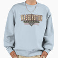 Washington Dc Baseball Nationals Sweatshirt - Novelty Apparel Unisex - T-Shirt, Sweatshirt, Hoodie