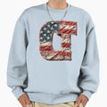 Worn American Pride Letters Ct Sweatshirt - Graphic Print Men Women - T-Shirt, Sweatshirt, Hoodie