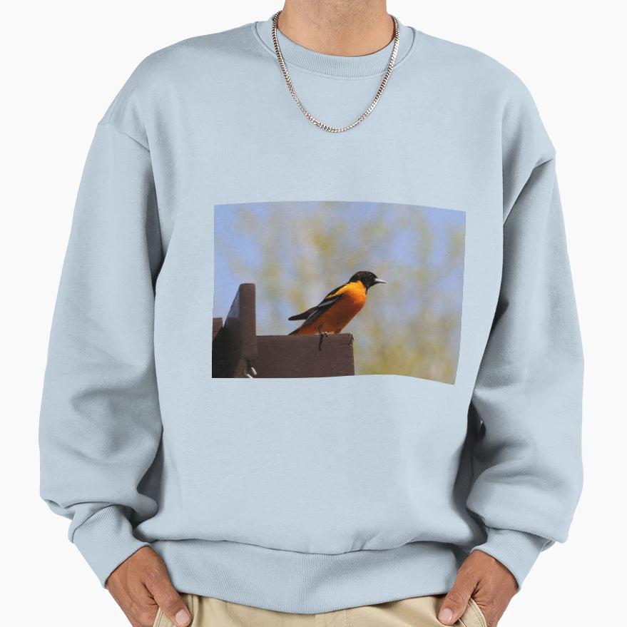 Northern Oriole Sweatshirt - Casual Everyday Wear Unisex - T-Shirt, Sweatshirt, Hoodie