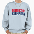 Washington Dc Sweatshirt - Trendy Graphic for Adults - T-Shirt, Sweatshirt, Hoodie