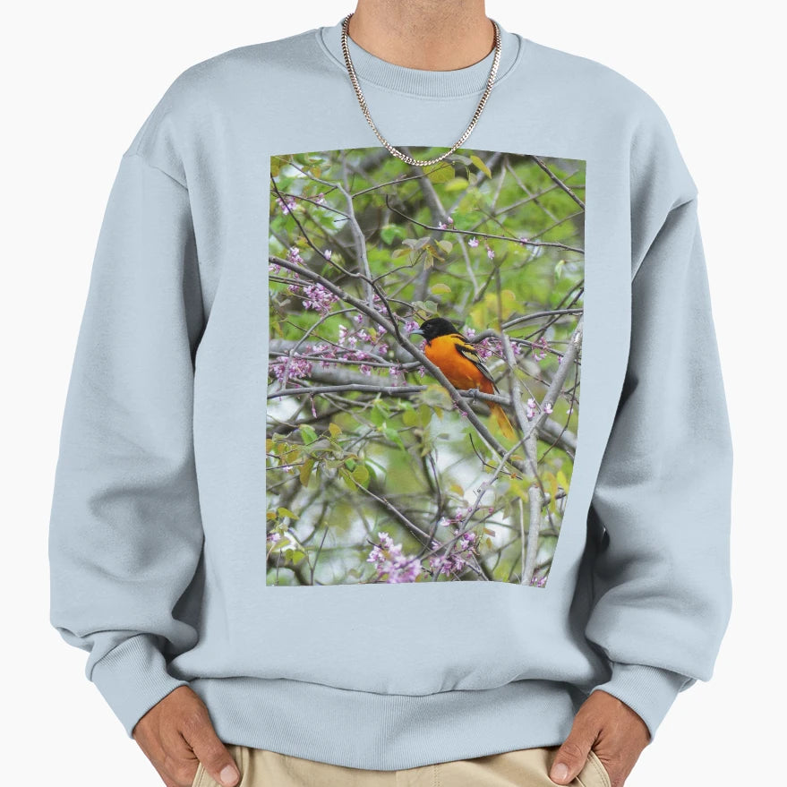 Baltimore Oriole Sweatshirt - Trendy Graphic Unisex - T-Shirt, Sweatshirt, Hoodie