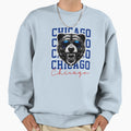 Bear Spirit Fierce Sunglasses Sweatshirt - Fun Novelty Design for Adults - T-Shirt, Sweatshirt, Hoodie