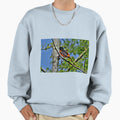 Baltimore Oriole Sweatshirt - Fun Novelty Design for Adults - T-Shirt, Sweatshirt, Hoodie