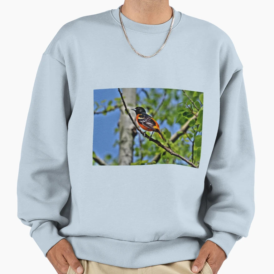 Baltimore Oriole Sweatshirt - Fun Novelty Design for Adults - T-Shirt, Sweatshirt, Hoodie