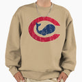 Chicago Whales Sweatshirt - Trendy Graphic Unisex - T-Shirt, Sweatshirt, Hoodie