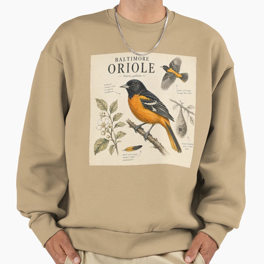 Baltimore Oriole Naturalist Bird Sweatshirt - Streetwear Style Men Women - T-Shirt, Sweatshirt, Hoodie