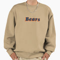 Chicago Bears Sweatshirt - Aesthetic Graphic for Adults - T-Shirt, Sweatshirt, Hoodie