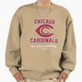 Chicago Cardinals 1924 World Champs Sweatshirt - Custom Art Print Unisex - T-Shirt, Sweatshirt, Hoodie