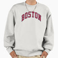 Boston Sweatshirt - Fun Novelty Design Unisex - T-Shirt, Sweatshirt, Hoodie