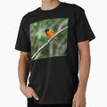 Baltimore Oriole Panama Bird Photography T-Shirt - Streetwear Style Unisex - T-Shirt, Sweatshirt, Hoodie