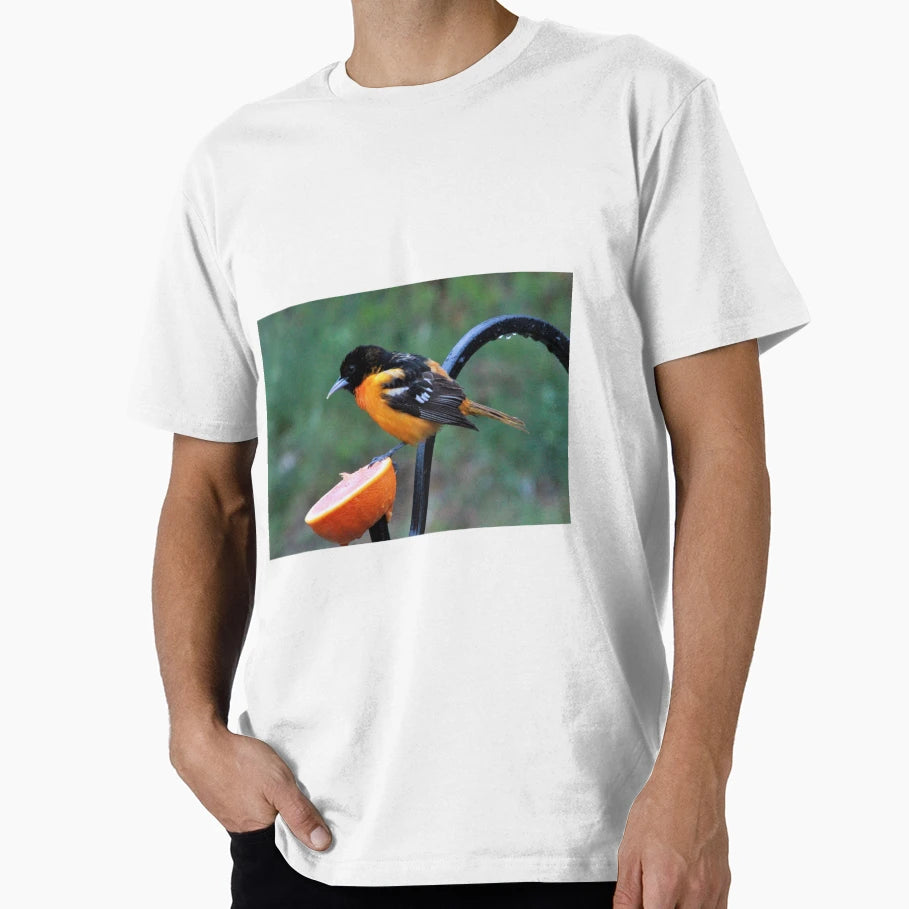 Baltimore Oriole T-Shirt - Unique Graphic for Adults - T-Shirt, Sweatshirt, Hoodie