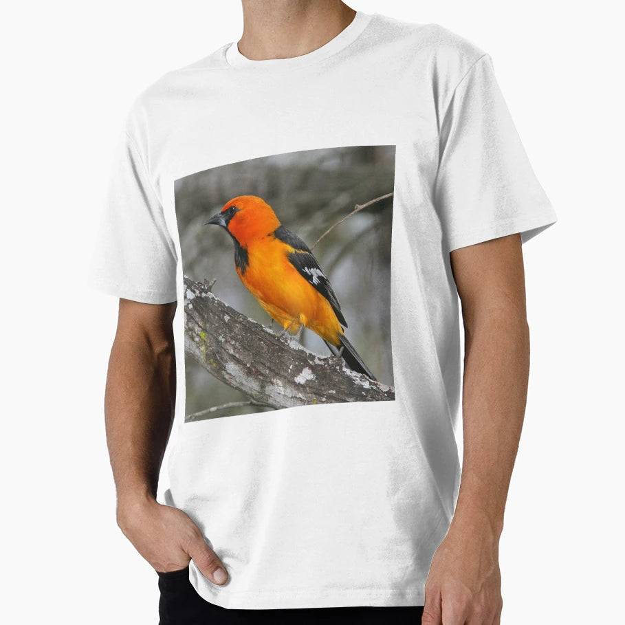 Baltimore Oriole Bird T-Shirt - Streetwear Style for Adults - T-Shirt, Sweatshirt, Hoodie