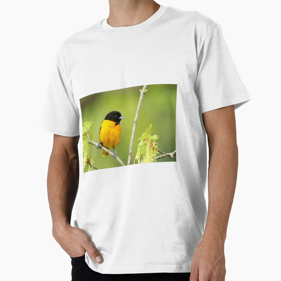 Baltimore Oriole T-Shirt - Custom Art Print Unisex - T-Shirt, Sweatshirt, Hoodie