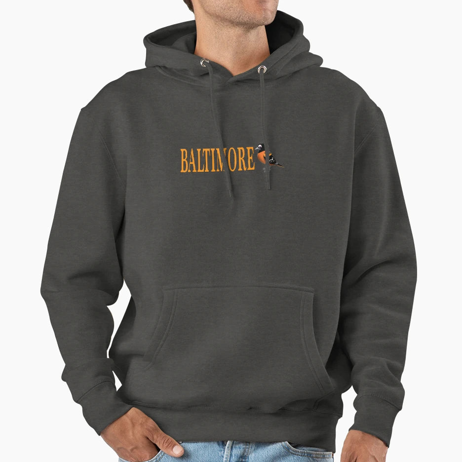 Baltimore Hoodie - Aesthetic Graphic Unisex - T-Shirt, Sweatshirt, Hoodie