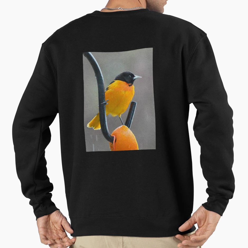 Male Oriole Light Rain Sweatshirt - Streetwear Style Men Women - T-Shirt, Sweatshirt, Hoodie