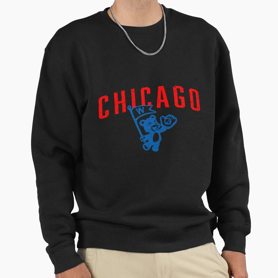Chicago Sweatshirt - Novelty Apparel for Adults - T-Shirt, Sweatshirt, Hoodie