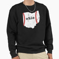 Baseball Slow Pitch Softball Ohio T-Shirt - Streetwear Style Men Women - T-Shirt, Sweatshirt, Hoodie