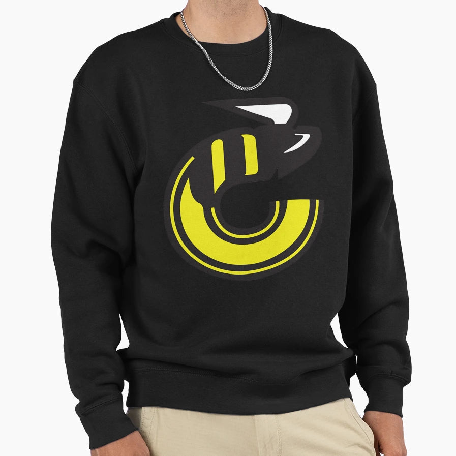 Cincinnati Stingers Hockey Logo Sweatshirt - Unique Graphic Men Women - T-Shirt, Sweatshirt, Hoodie