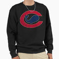 Chicago Whales T-Shirt - Fun Novelty Design Men Women - T-Shirt, Sweatshirt, Hoodie