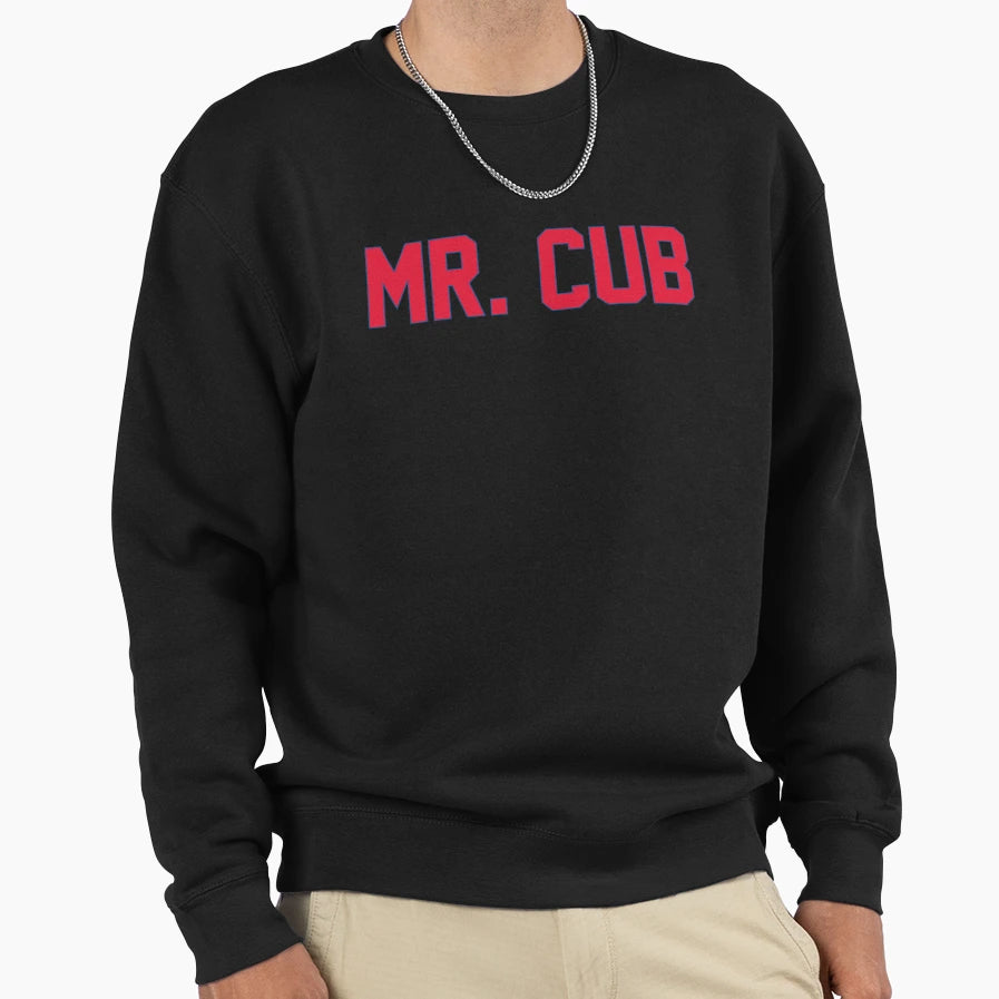Mr Cub T-Shirt - Fun Novelty Design for Adults - T-Shirt, Sweatshirt, Hoodie