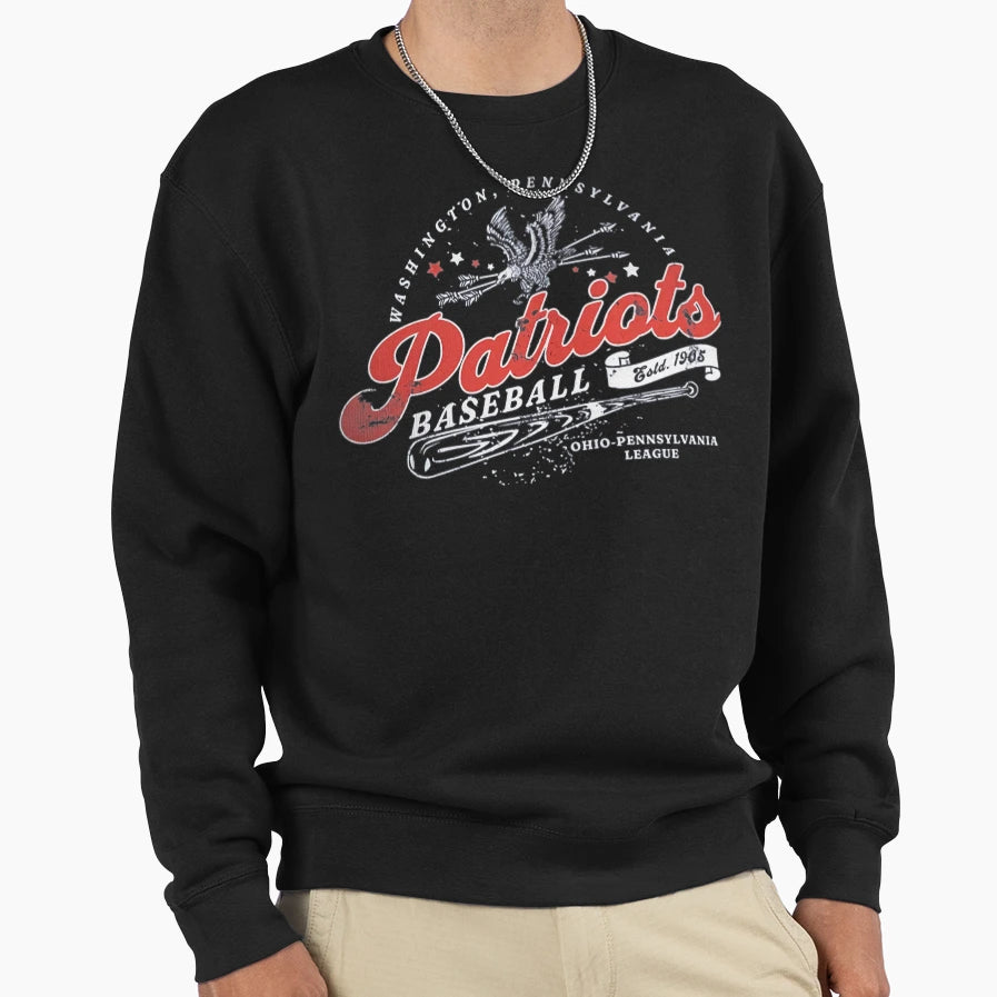 Washington Patriots Baseball Sweatshirt - Custom Art Print for Adults - T-Shirt, Sweatshirt, Hoodie