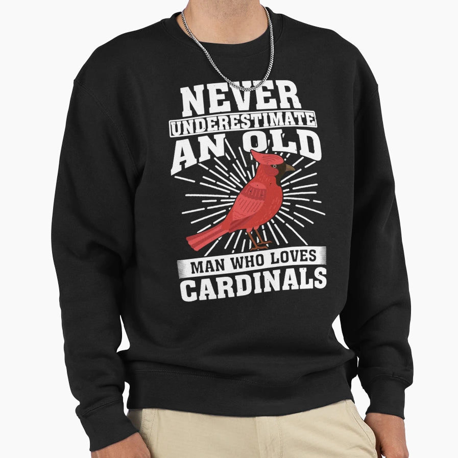 Art St Louis Cardinals Sweatshirt - Fun Novelty Design Men Women - T-Shirt, Sweatshirt, Hoodie