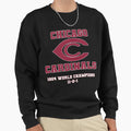 Chicago Cardinals 1924 World Sweatshirt - Streetwear Style for Adults - T-Shirt, Sweatshirt, Hoodie