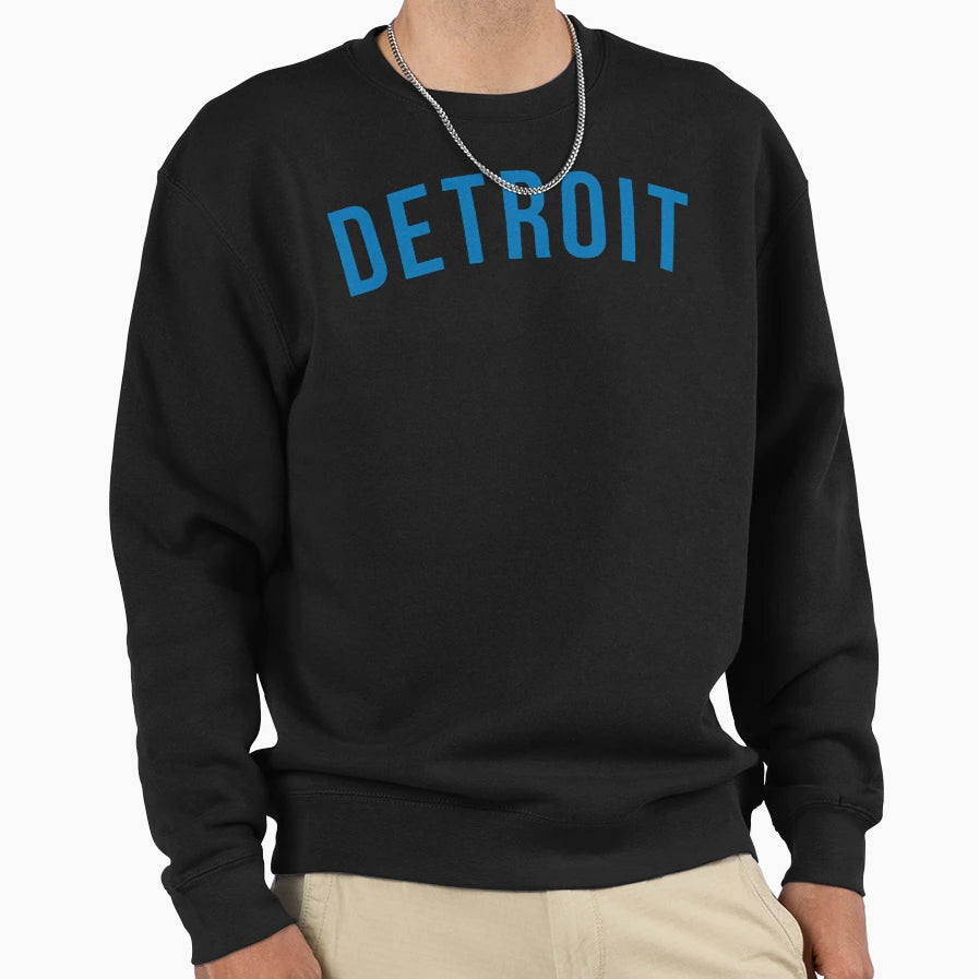 Detroit Lions Sweatshirt - Fun Novelty Design Unisex - T-Shirt, Sweatshirt, Hoodie