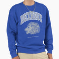 Detroit 313 Football Dark Sweatshirt - Casual Everyday Wear for Adults - T-Shirt, Sweatshirt, Hoodie