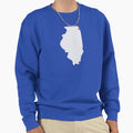 Chicago Baseball Sweatshirt - Trendy Graphic for Adults - T-Shirt, Sweatshirt, Hoodie