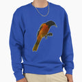 Baltimore Oriole Sweatshirt - Trendy Graphic Men Women - T-Shirt, Sweatshirt, Hoodie