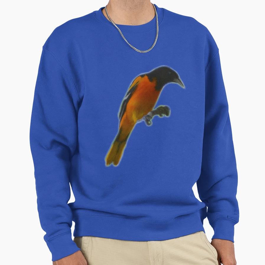 Baltimore Oriole Sweatshirt - Trendy Graphic Men Women - T-Shirt, Sweatshirt, Hoodie
