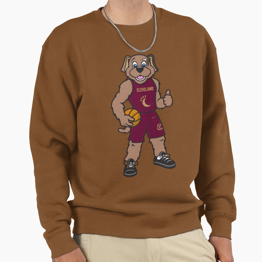 Basketball Collection Sweatshirt - Aesthetic Graphic for Adults - T-Shirt, Sweatshirt, Hoodie