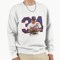 Nolan Ryan Sweatshirt - Fun Novelty Design for Adults - T-Shirt, Sweatshirt, Hoodie