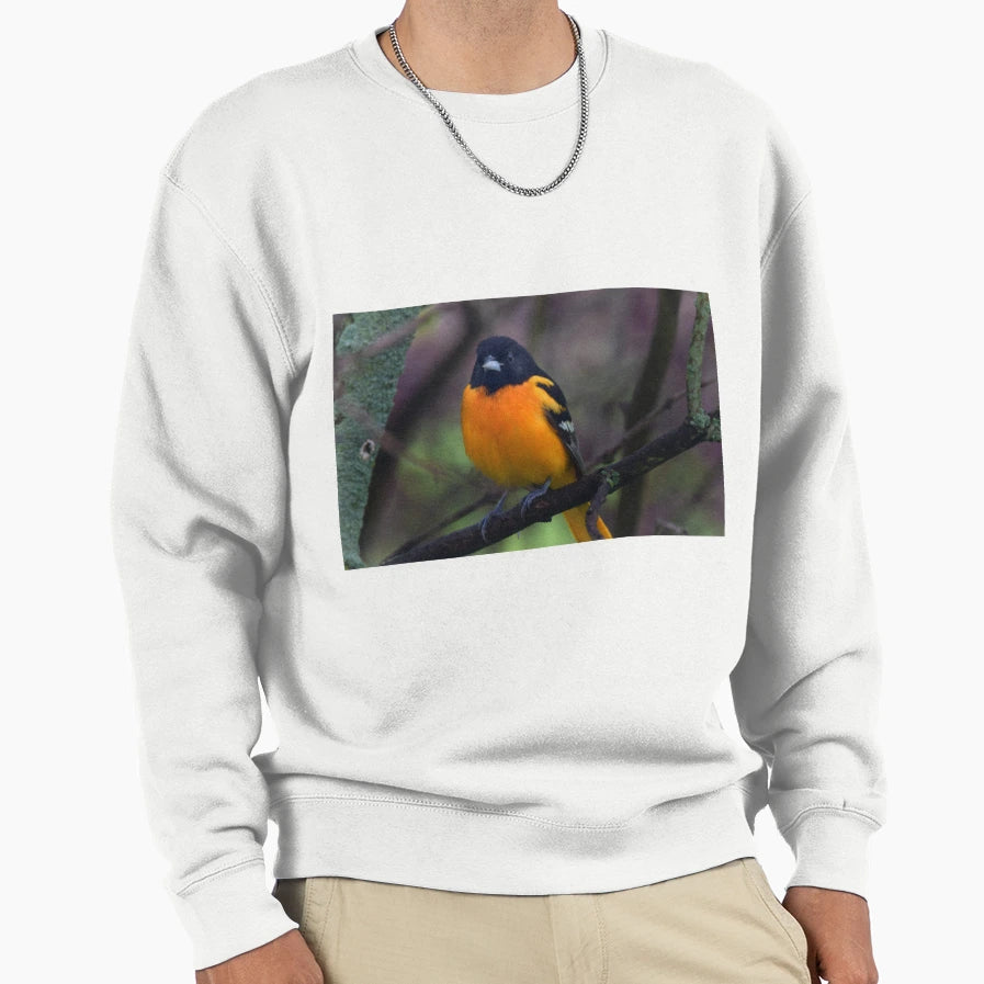 Male Baltimore Oriole Sweatshirt - Streetwear Style Men Women - T-Shirt, Sweatshirt, Hoodie