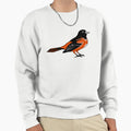 Oriole Sweatshirt - Aesthetic Graphic for Adults - T-Shirt, Sweatshirt, Hoodie