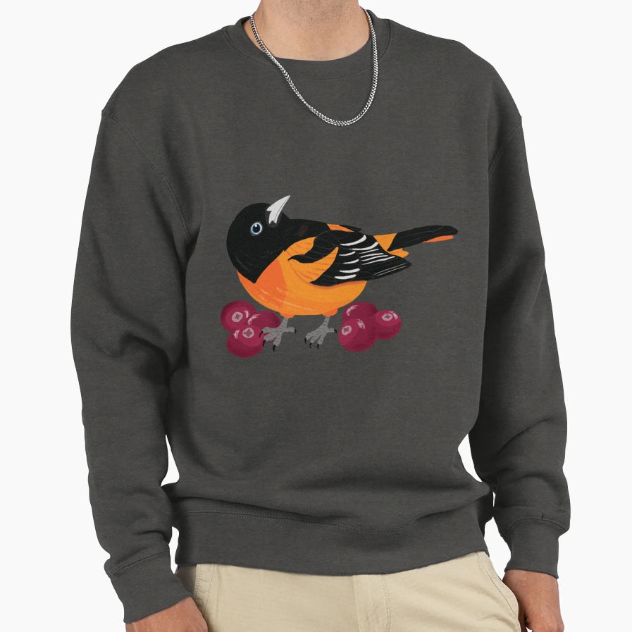 Baltimore Oriole Cranberries Sweatshirt - Unique Graphic for Adults - T-Shirt, Sweatshirt, Hoodie