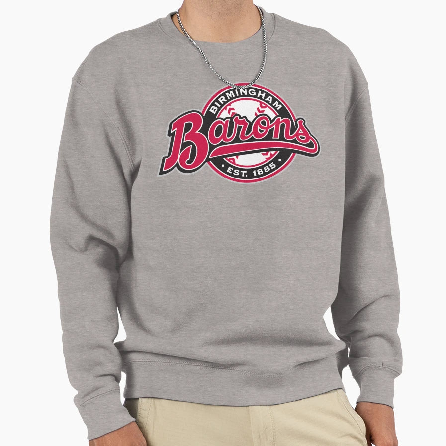 Birmingham Barons Icons Sweatshirt - Custom Art Print for Adults - T-Shirt, Sweatshirt, Hoodie