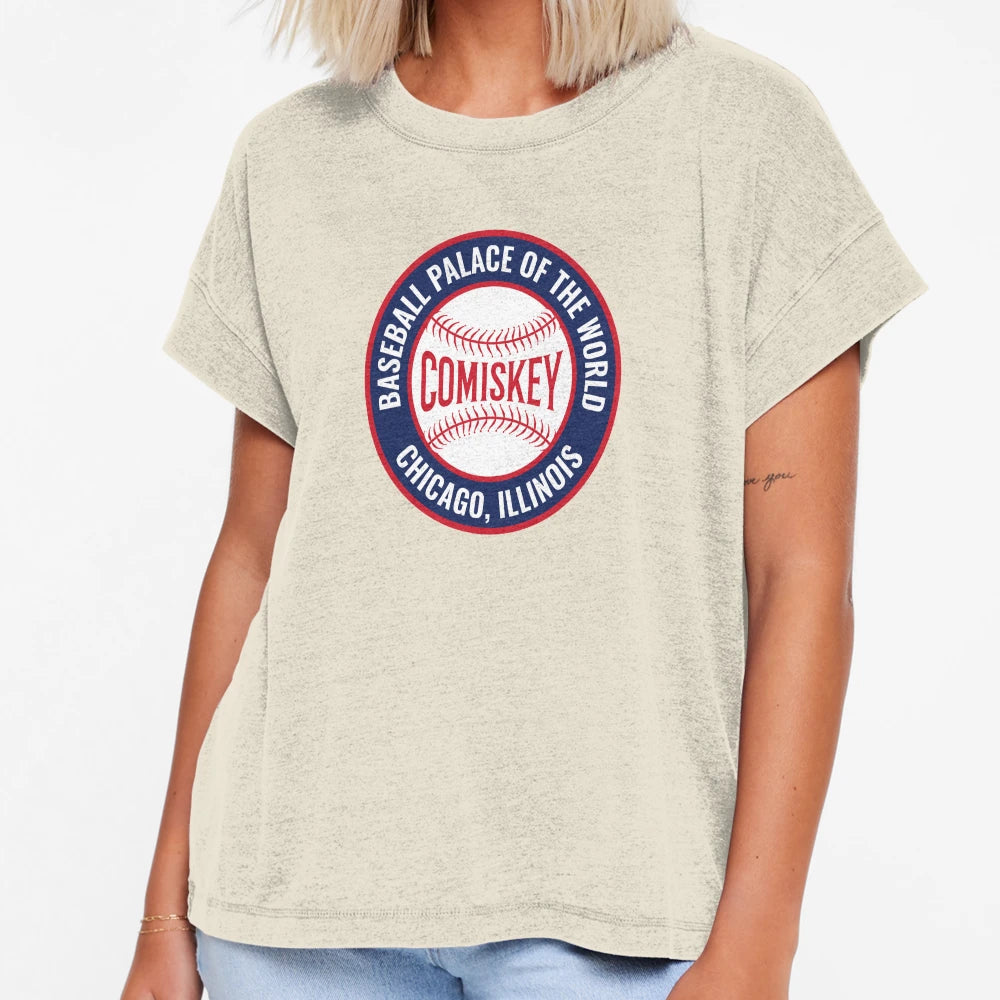 Comiskey Park Chicago T-Shirt - Custom Art Print for Adults - T-Shirt, Sweatshirt, Hoodie
