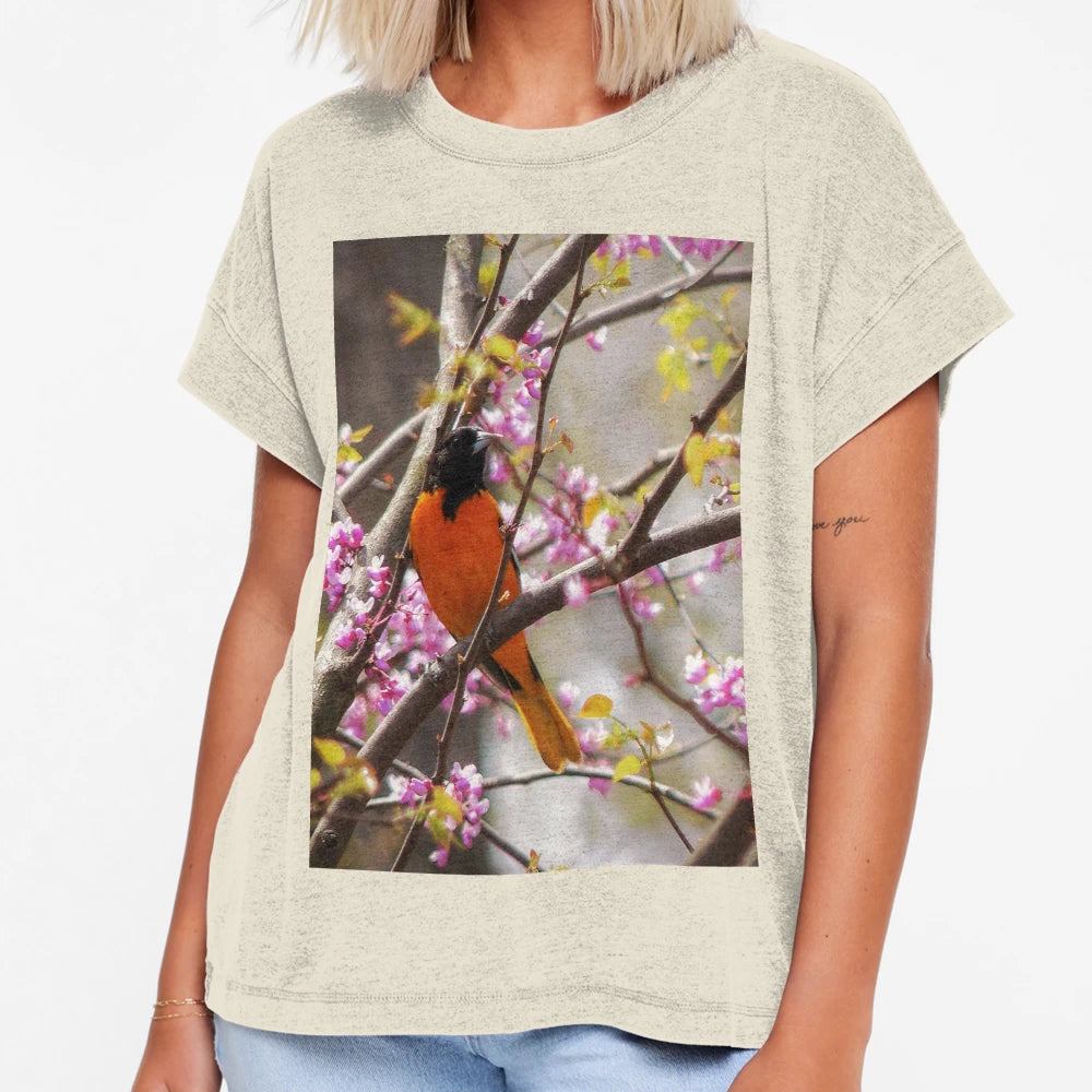 Baltimore Oriole T-Shirt - Trendy Graphic for Adults - T-Shirt, Sweatshirt, Hoodie