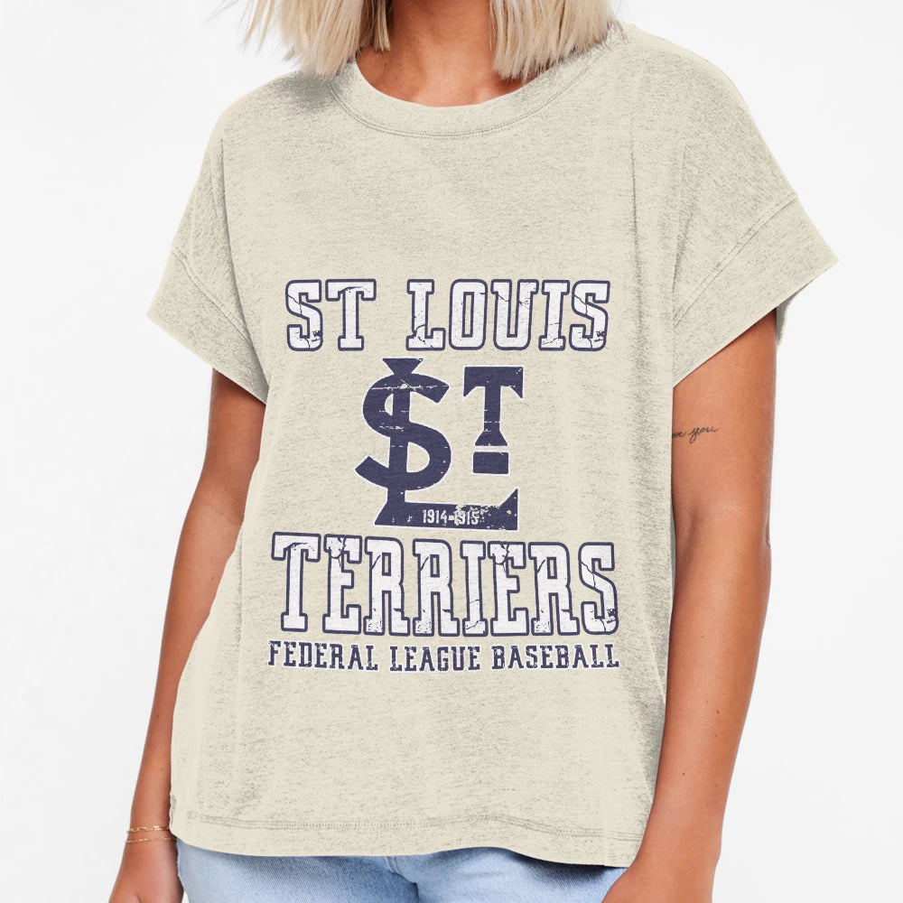 St Louis Terriers Defunct Team T-Shirt - Unique Graphic for Adults - T-Shirt, Sweatshirt, Hoodie